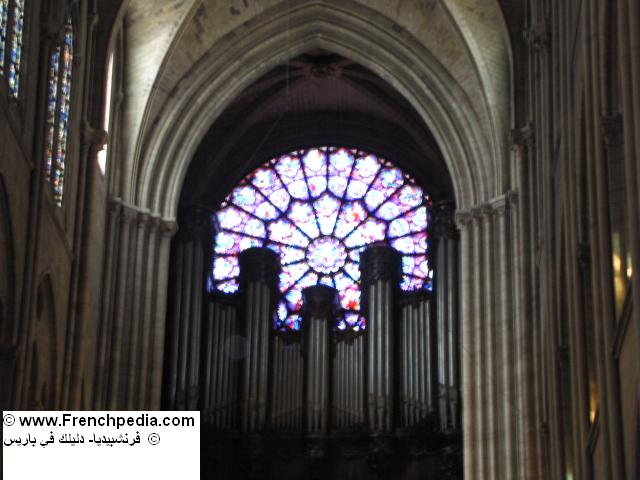 notre_dame_organ.JPG
